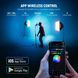 Комплект студійного світла NEEWER NK300 RGB з APP керуванням (софтбокс 60*60см, лампа RGB 24Вт, стійка 210см)