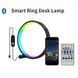 Умный светодиодный ночник RGB-O 25 см настольная атмосферная лампа с пультом и bluetooth подключением к смартф 100227 фото 1