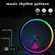 Умный светодиодный ночник RGB-O 25 см настольная атмосферная лампа с пультом и bluetooth подключением к смартф 100227 фото 2