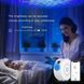 Світлодіодний нічник проектор зоряне небо Tuya WiFi Alexa Voice Control APP Control White 100309 фото 4