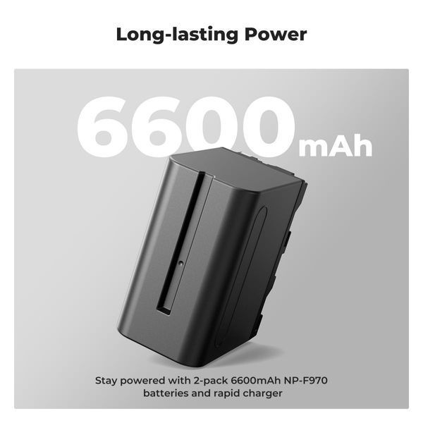 Комплект з двох акумуляторів 6600mAh та зарядного пристрою K&F Concept NP-970 для Sony (KF28.0047) KF28.0047 фото