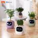 Интерактивный умный горшок для растений Ivy Smart Planter Tuya Pink AI домашний питомец 100311.4 фото 10