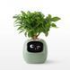 Інтерактивний розумний горщик для рослин Ivy Smart Planter Tuya Green AI хатній вихованець 100311.1 фото 1