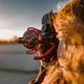 Компактний накамерний мікрофон Rode VideoMicro