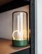 Декоративная настольная атмосферная лампа ночник AUGE Light Green 100236 фото 2