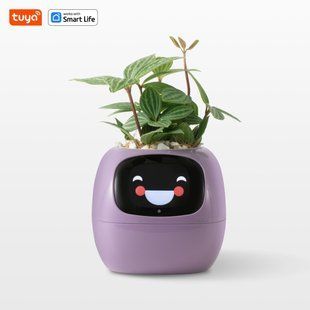 Інтерактивний розумний горщик для рослин Ivy Smart Planter Tuya Purple AI хатній вихованець 100311.2 фото