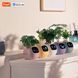Інтерактивний розумний горщик для рослин Ivy Smart Planter Tuya Purple AI хатній вихованець 100311.2 фото 10
