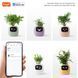 Інтерактивний розумний горщик для рослин Ivy Smart Planter Tuya Purple AI хатній вихованець 100311.2 фото 4
