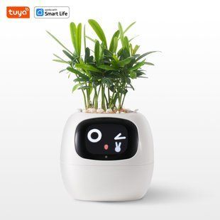 Інтерактивний розумний горщик для рослин Ivy Smart Planter Tuya White AI хатній вихованець 100311.3 фото