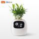 Інтерактивний розумний горщик для рослин Ivy Smart Planter Tuya White AI хатній вихованець 100311.3 фото 1